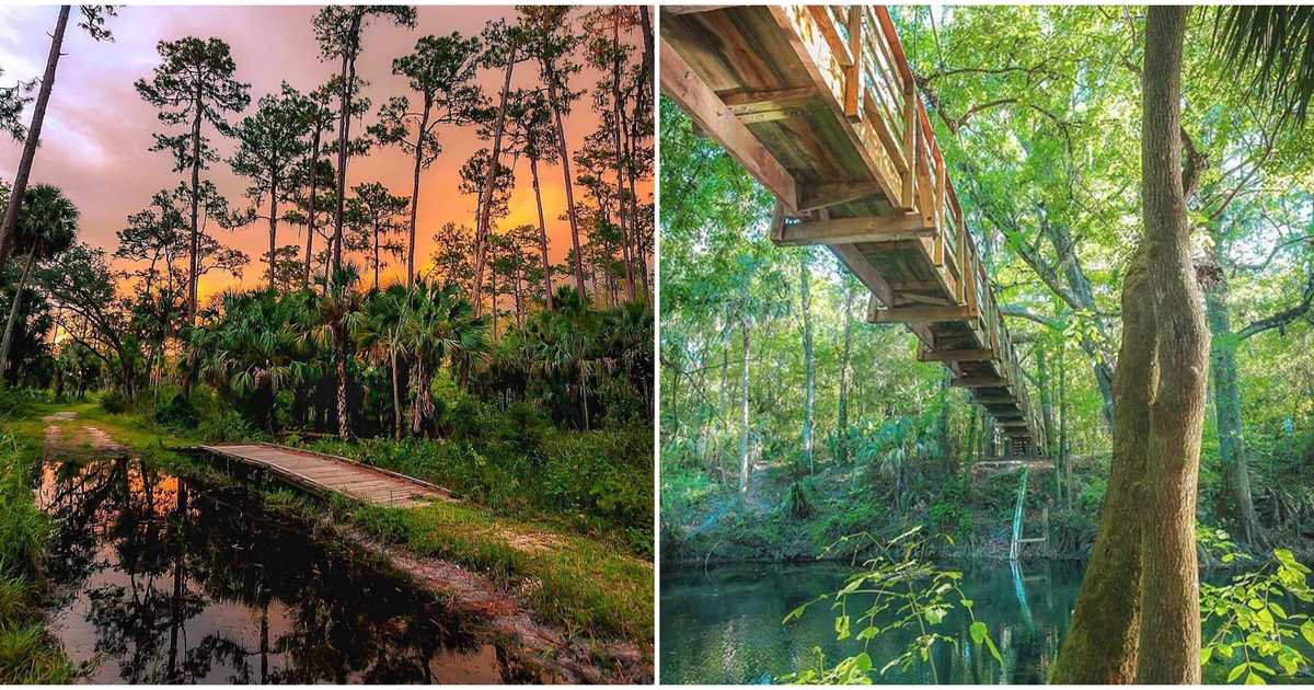 14 Best STATE PARKS near Tampa FL for Camping in 2021