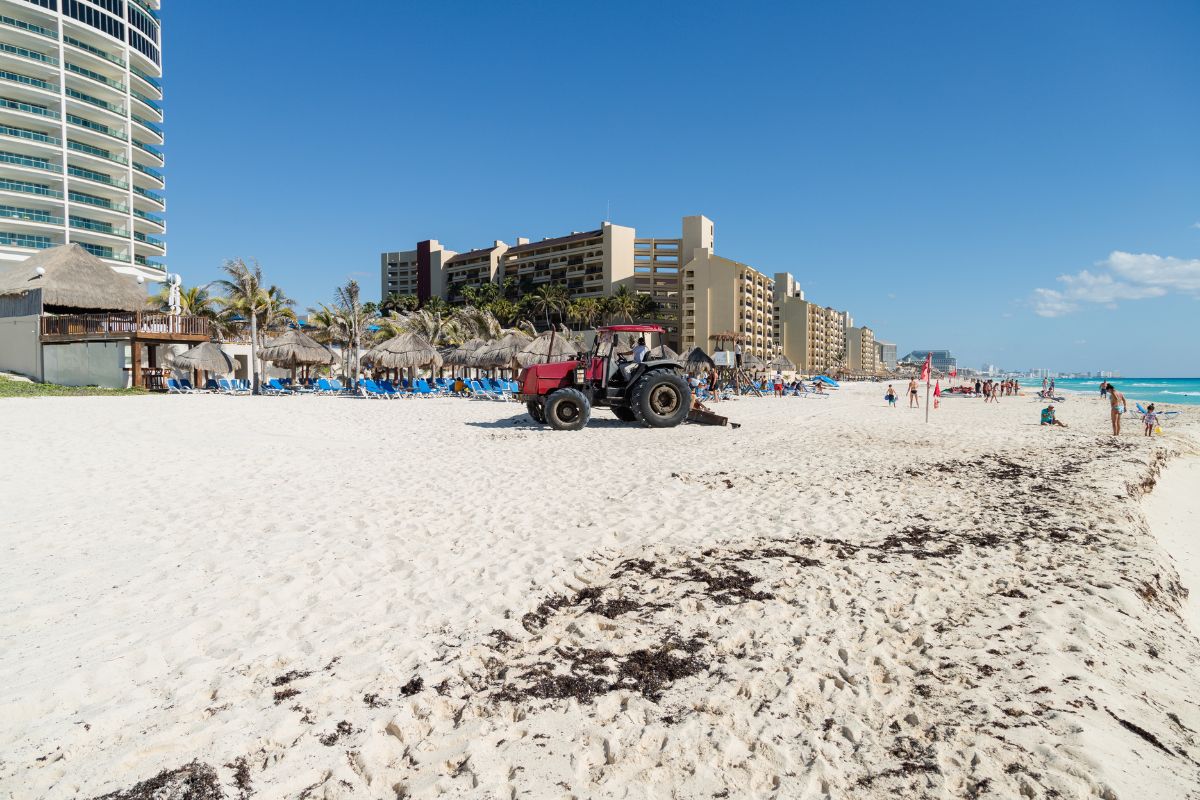 All Cancun Beaches Nearly Seaweed-Free