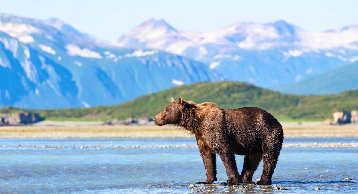 Google Unveils the Top 5 Undiscovered National Parks in the U.S. to Explore in 2024