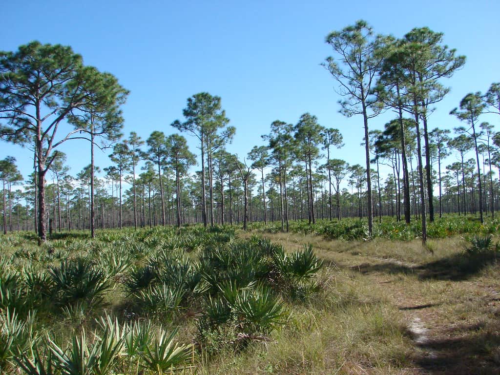 Jonathan Dickinson State Park in Florida