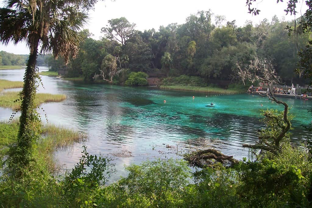 Rainbow Springs - Florida State Park