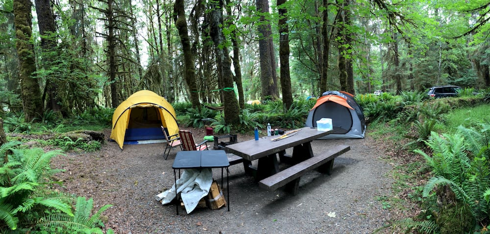 camping sites in washington state - hoh rainforest
