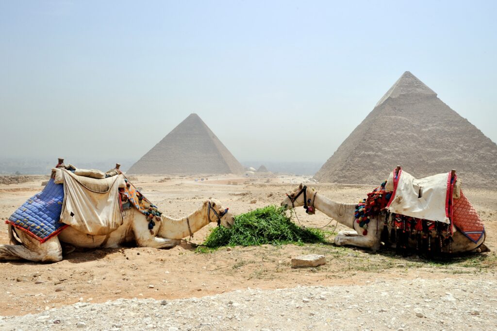 tourist warning egypt