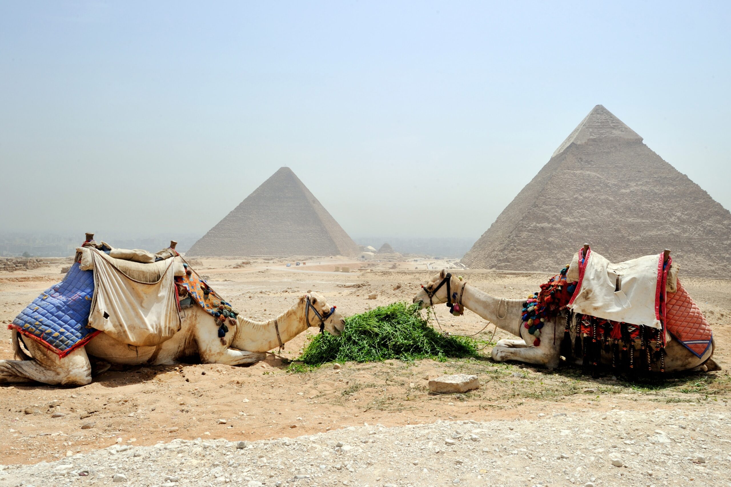 Is Egypt Safe? Travel Advisory 2024