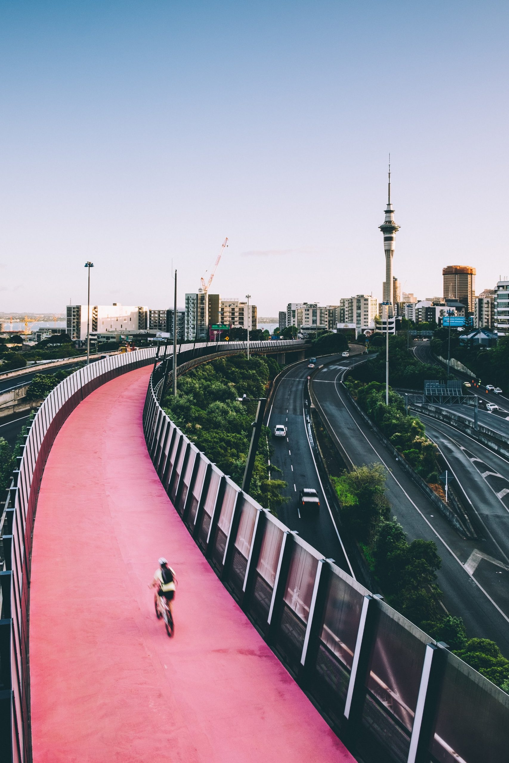 pink cycling path in Auckland