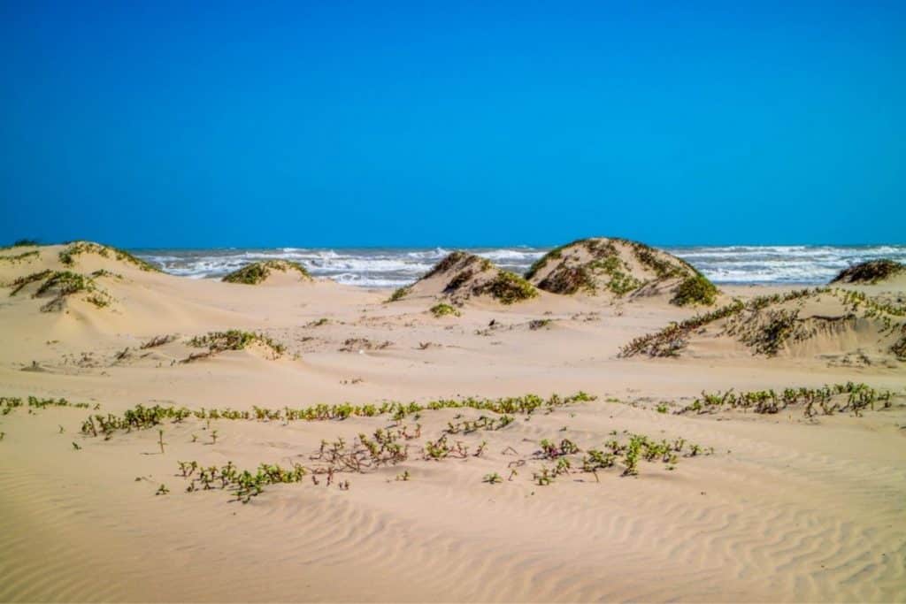 Padre Island National Seashore