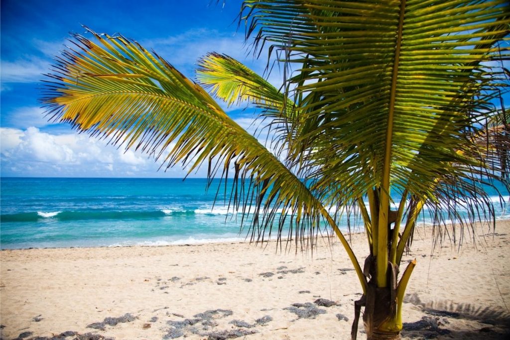 best beaches in puerto rico to explore