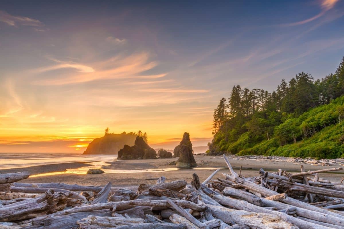 best beaches in washington to explore