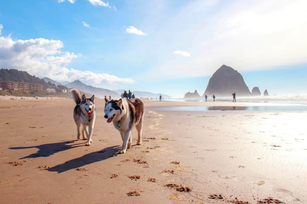 Best Beaches on the U.S. West Coast