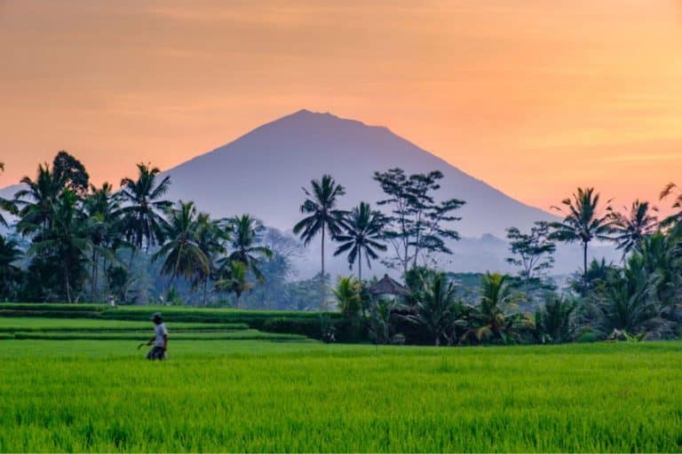 Bali’s Ubud, Named Among The Best Destinations For Solo Travelers in 2022