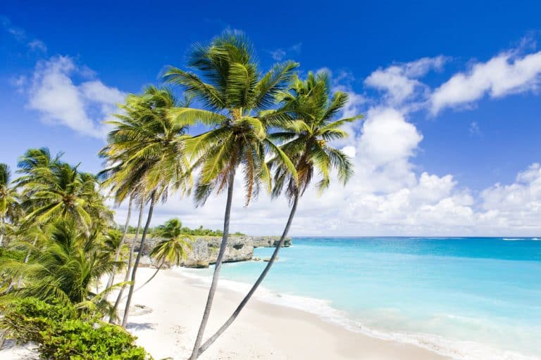 best beaches in barbados to explore