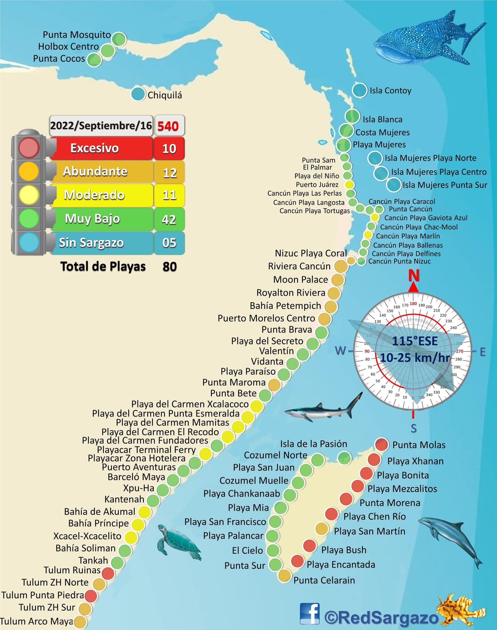 Cancun Sargassum Seaweed Previsão 2023 viajando e aproveitando