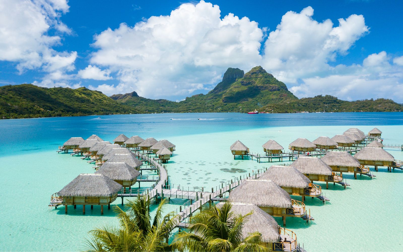 You Can Now Fly Direct To Tahiti From These 4 U.S. Cities