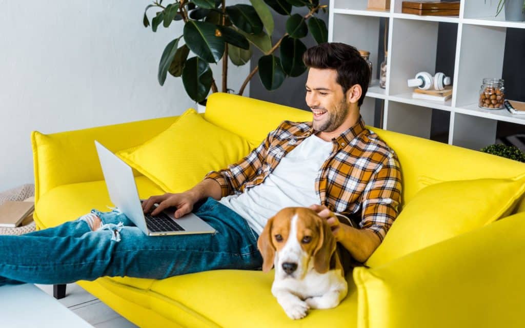 remote worker with dog