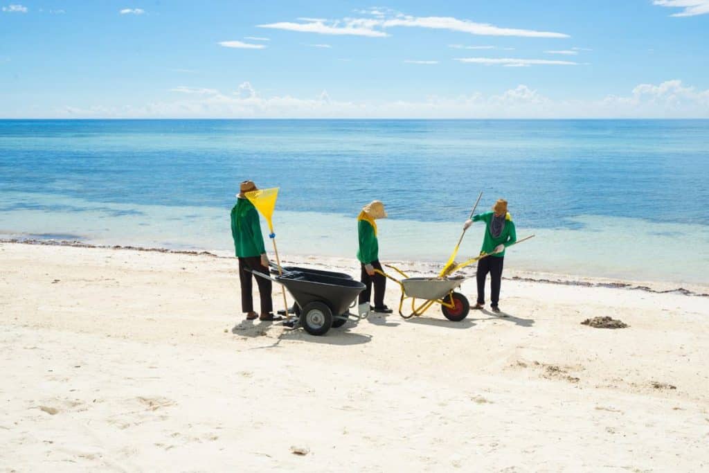 arbetare som samlar skräp på stranden i Cancun