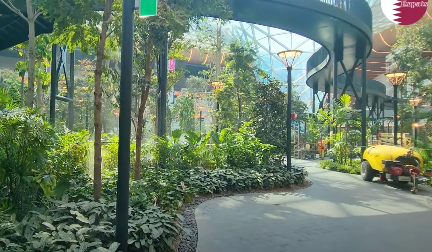 Doha Introduces New Forest Garden Inside The Airport