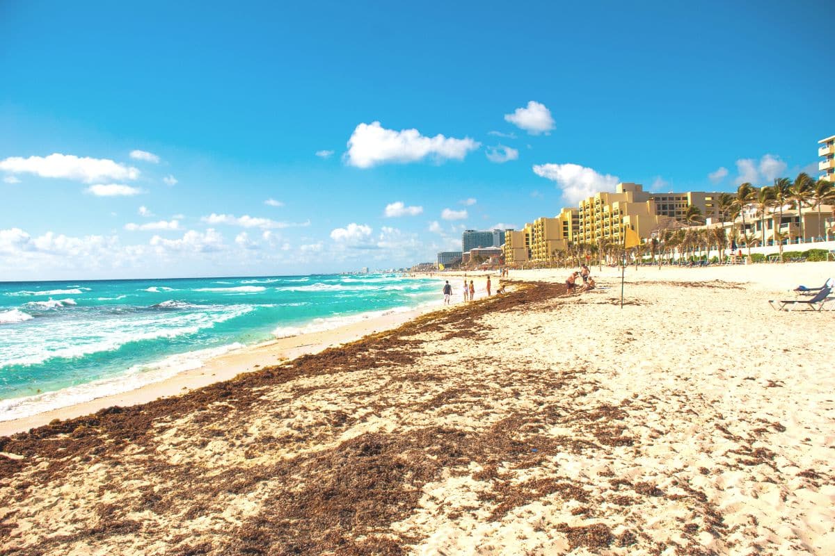 First 7 Cancun Beaches Affected By Sargassum So Far In 2023