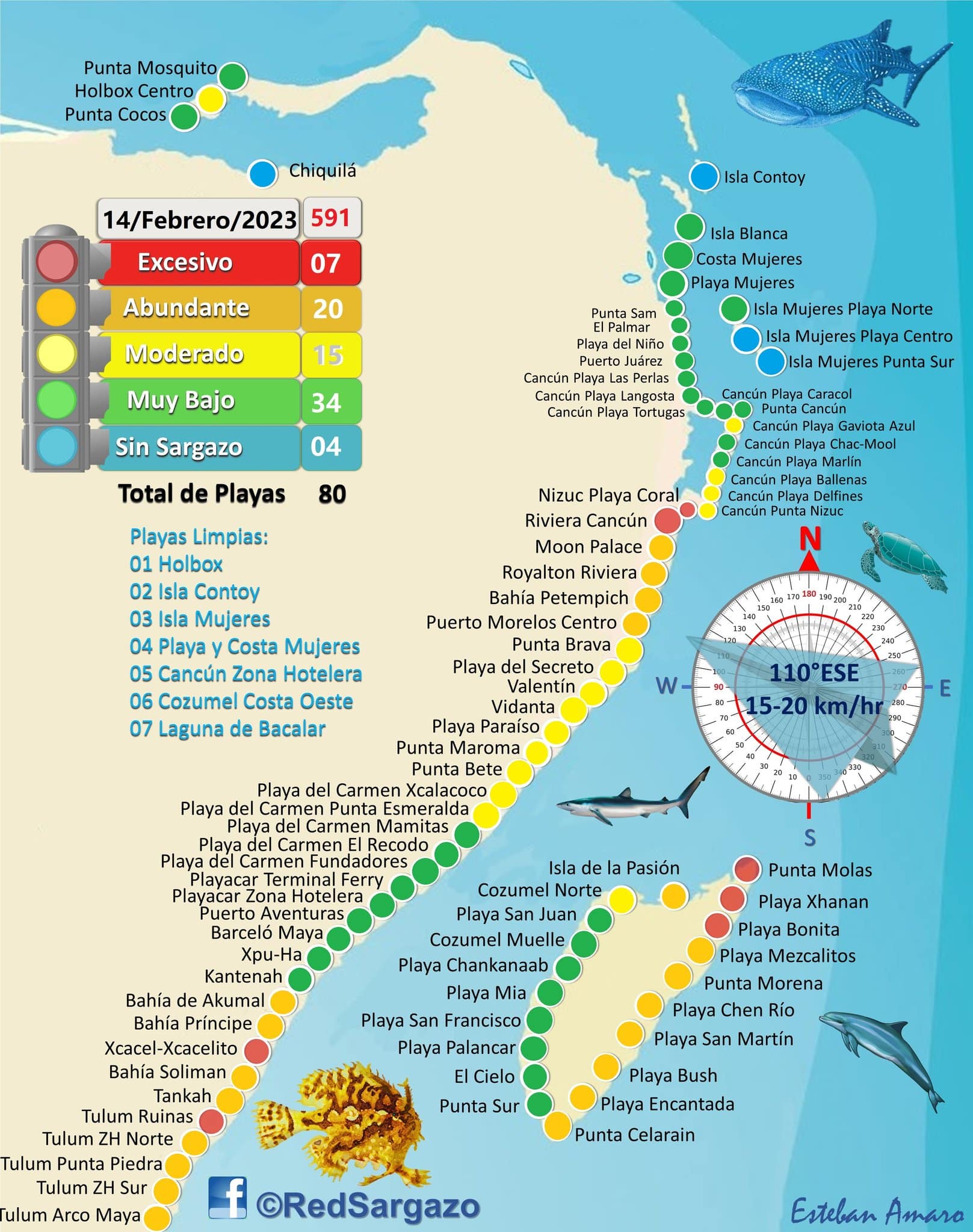 Latest Cancun Sargassum Seaweed Updates (Photos, MAP, Forecast)