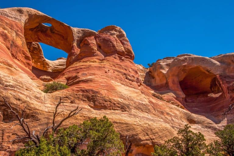 This Colorado's Hidden Gem Has The World's Second Largest Number Of Natural Arches