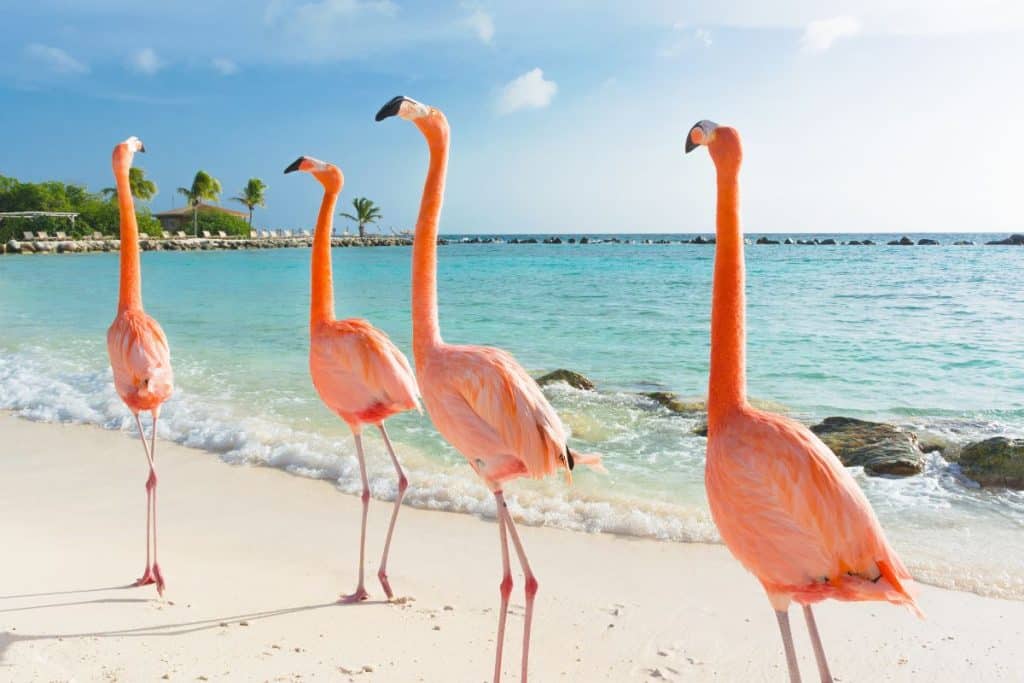 Is Curacao Safe? Travel Advisory 2023