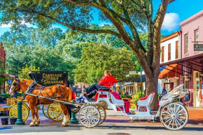 The Ultimate Guide To Planning A Trip To Savannah: Best Time To Visit