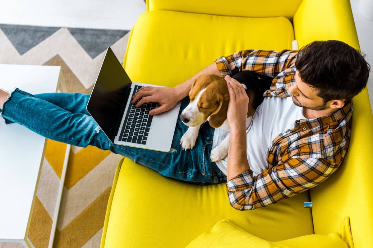 These Are 10 WFH Remote Jobs You Can Do Without Prior Experience