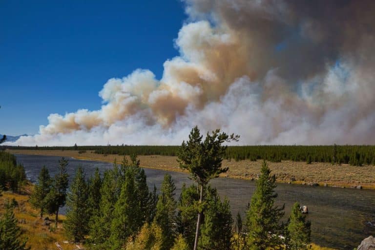 This U.S. National Park Is First To Catch Wildland Fire This Season