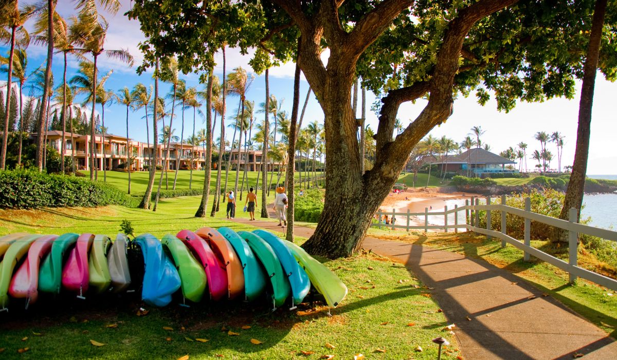 Should You Cancel Your Trip To Maui, Hawaii? - Latest Travel Advisories
