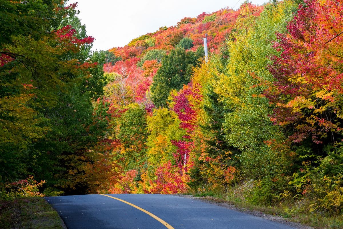 Your Perfect Minnesota Fall Drive Along A Lesser-Known Scenic Byway