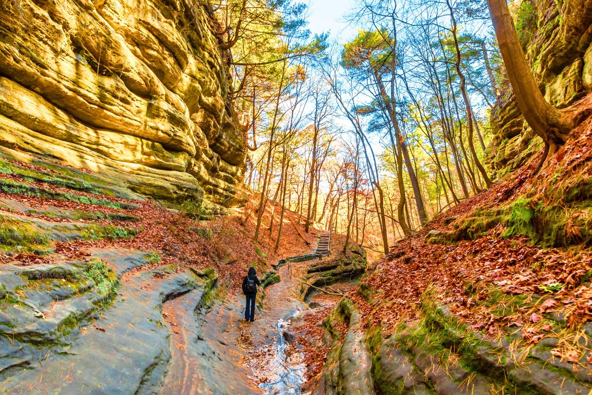 8 Best Places To Visit In Illinois In The Fall Season 2023