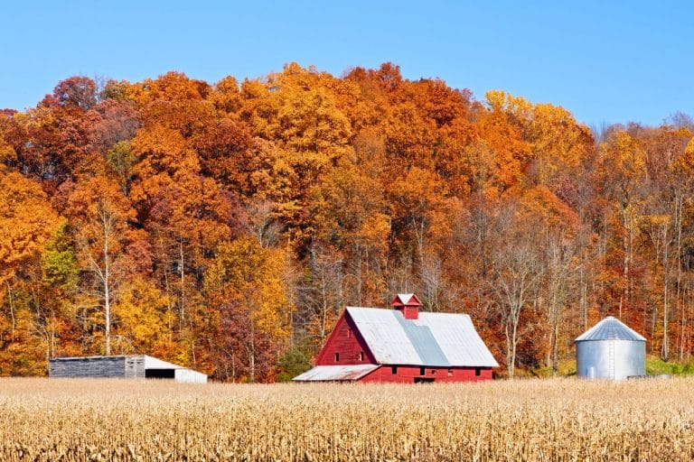 8 Best Places To Visit In Indiana In The Fall Season 2023