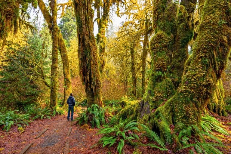 8 Best Places To Visit In Washington State In The Fall Season 2023