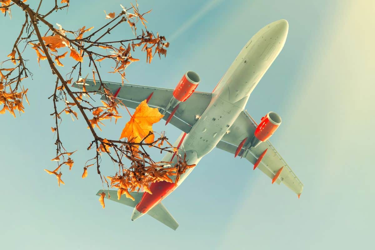 Airfares Are Dropping By 29% As Fall Approaches