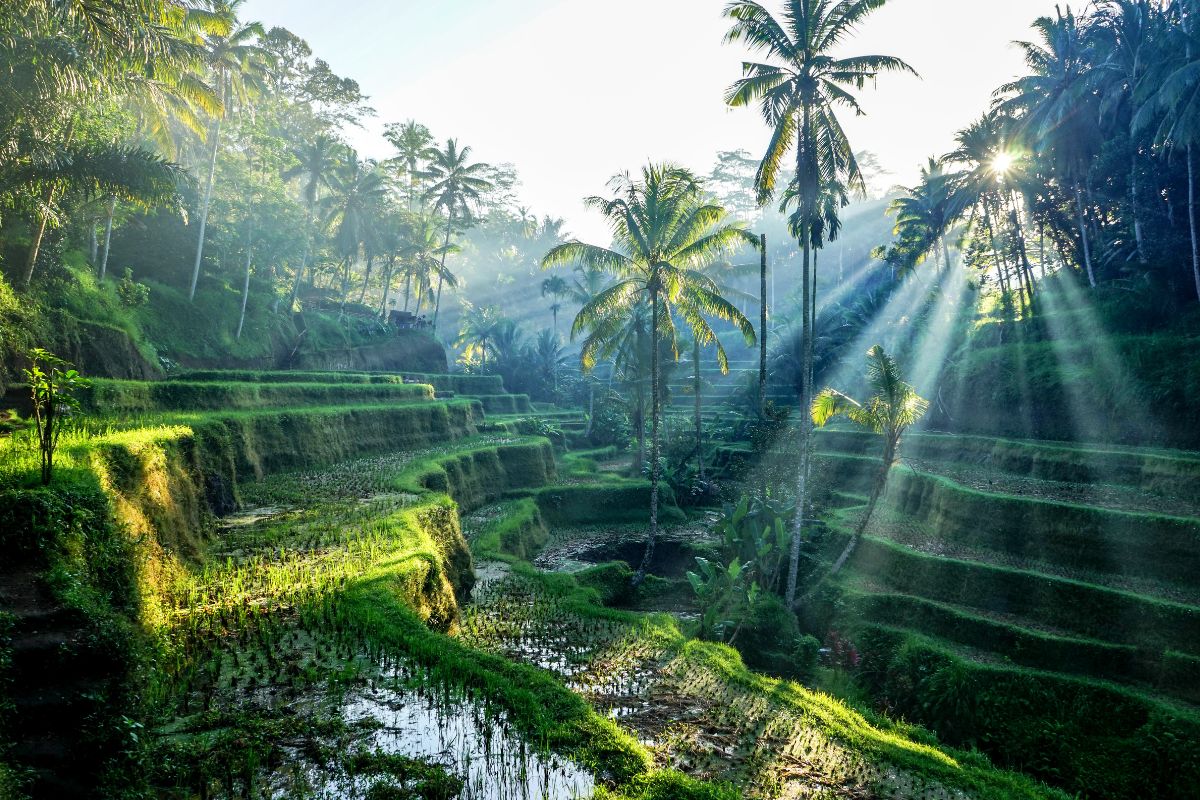 Bali's New Legislation Helps Preserve Its Natural Beauty