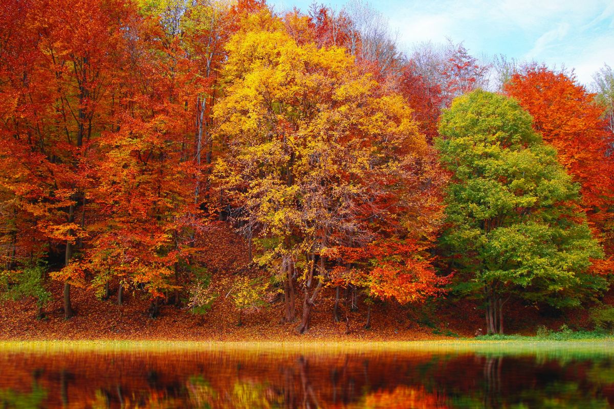 This U.S. National Park Is A Hidden Gem To See Fall Foliage