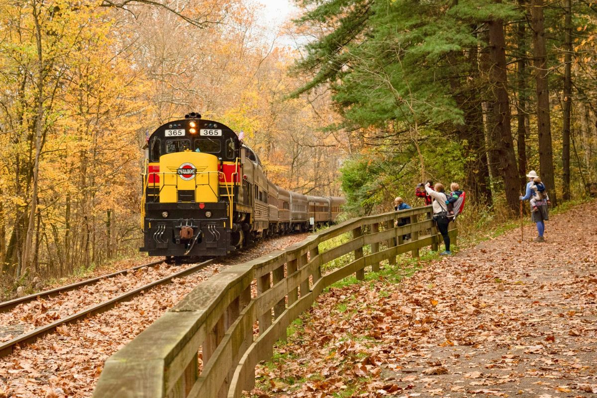 This Virginia Train Offers The Perfect Fall Journey To Witness Stunning Foliage