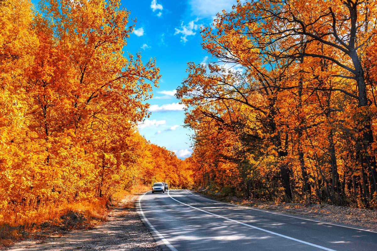 3 Of The Most Scenic U.S. Drives For Leaf Peeping Are In Iowa