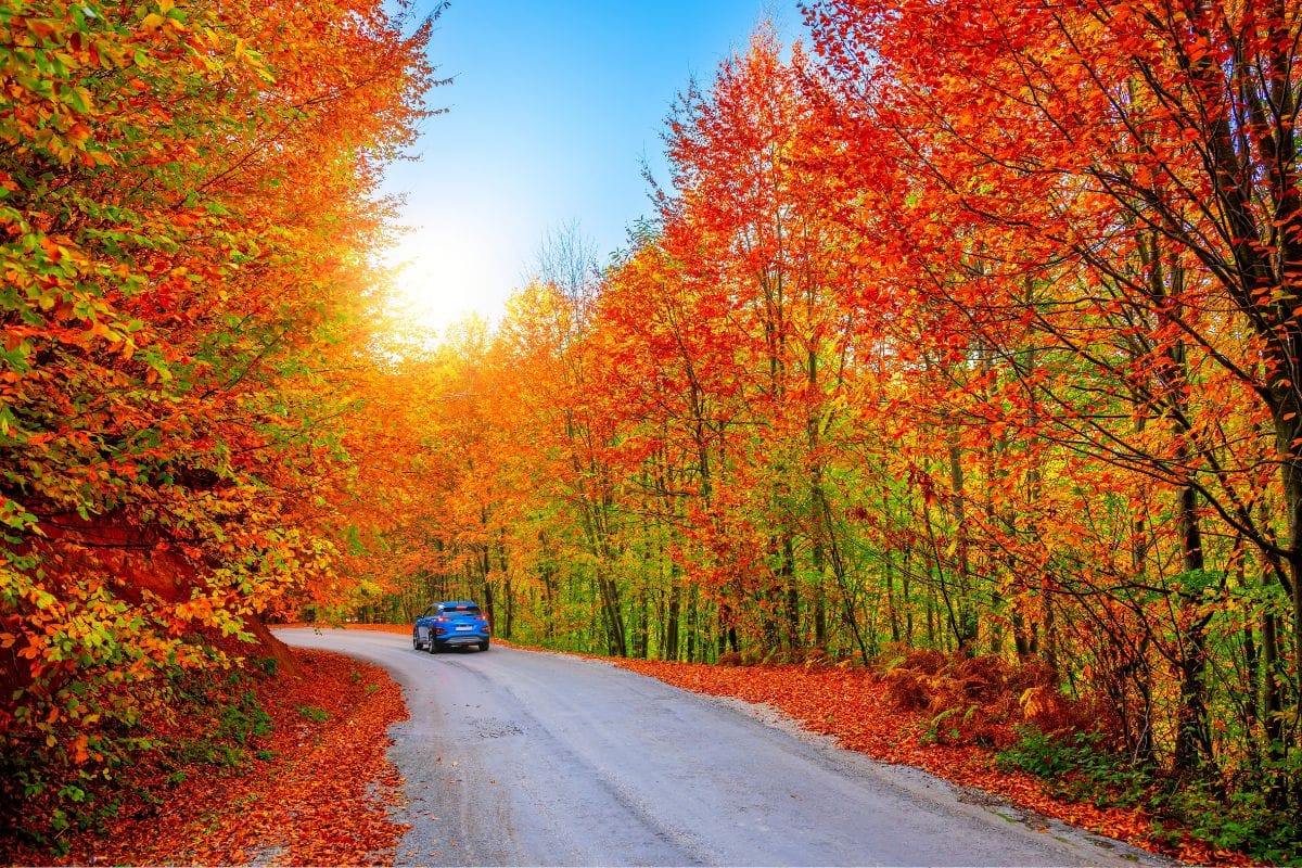 3 Of The Most Scenic U.S. Drives For Leaf Peeping Are In Kentucky