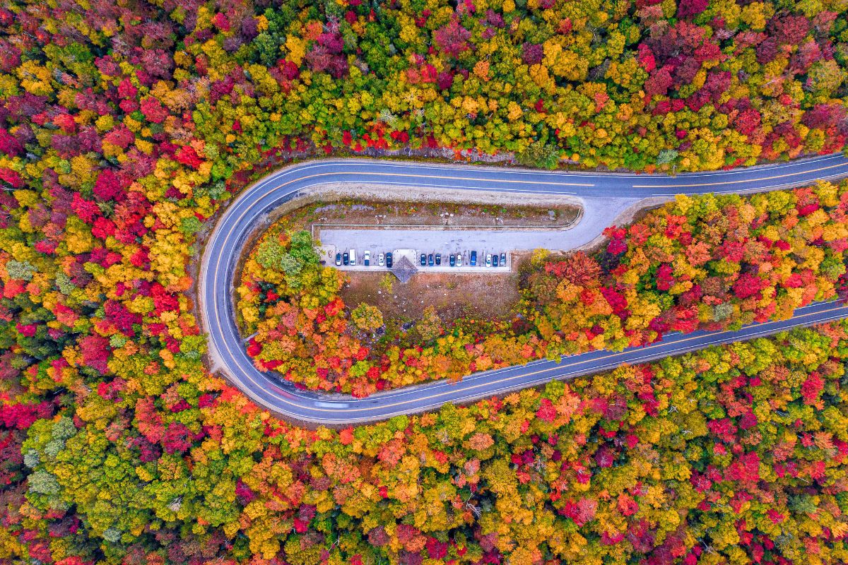 8 Must-Drive Scenic Roads In The U.S. For Fall Foliage