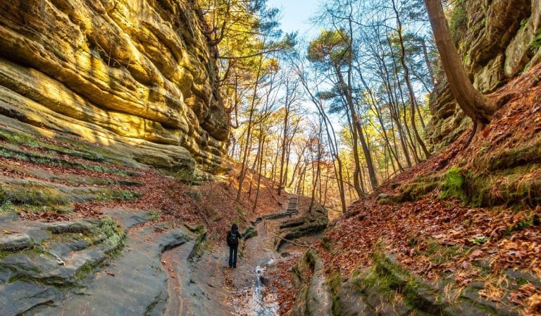 This Is The No. 1 Hidden Gem In Illinois To Enjoy Fall Colors In 2023