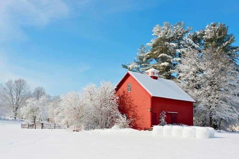 7 Best Places To Visit In Massachusetts In The Winter 2023-24