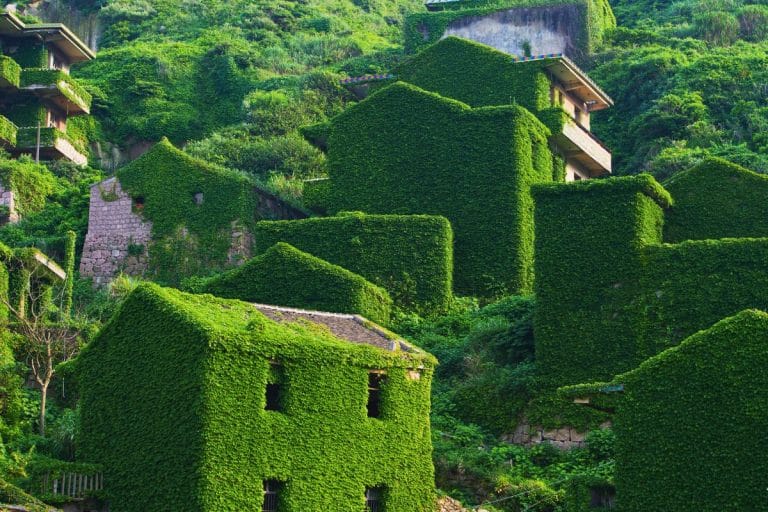 These Chinese Islands With World's Greenest Village Are A Real Hidden Gem