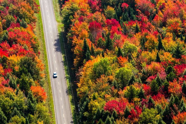 This Is The No.1 U.S. Fall Drive For Leaf Peeping, According To A Survey