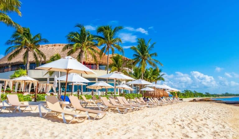 Playa Del Carmen Hotels Close To 100% Occupancy This Winter