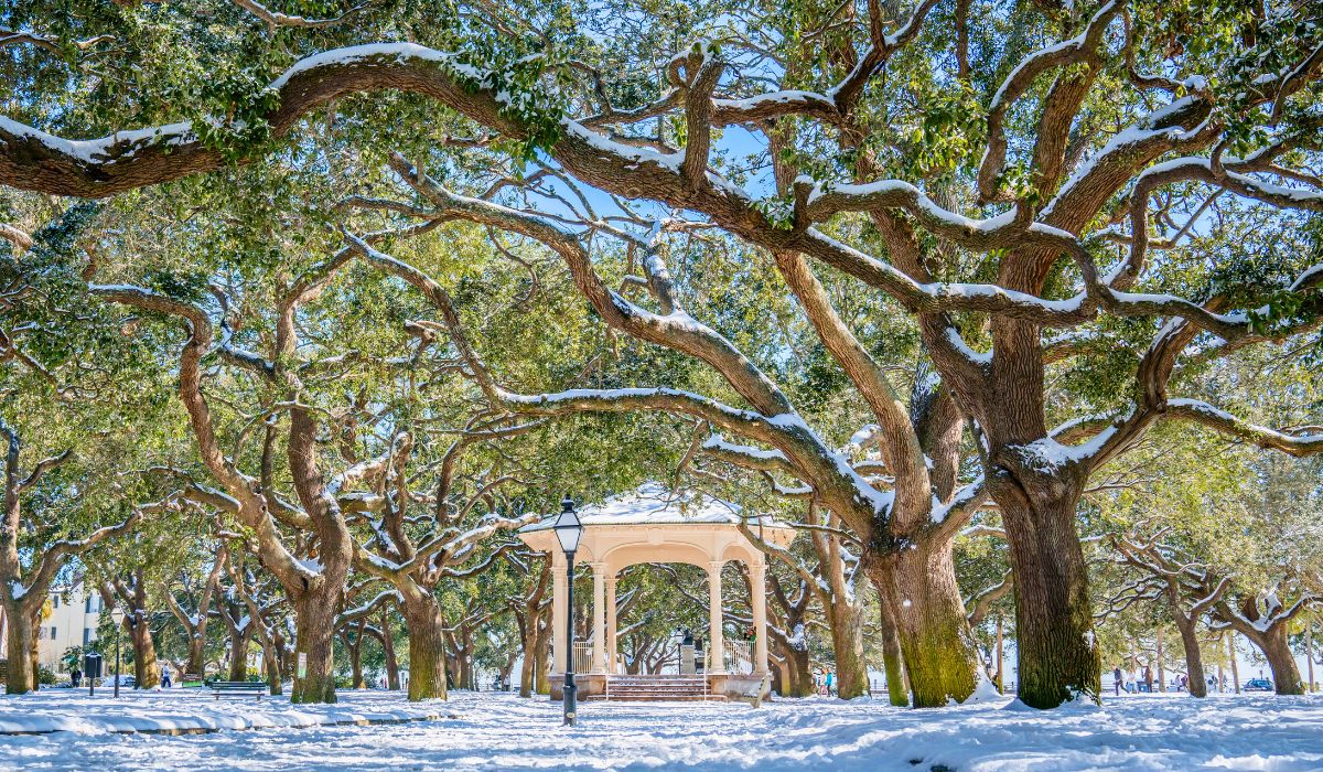 Best Places To Visit In South Carolina This Winter