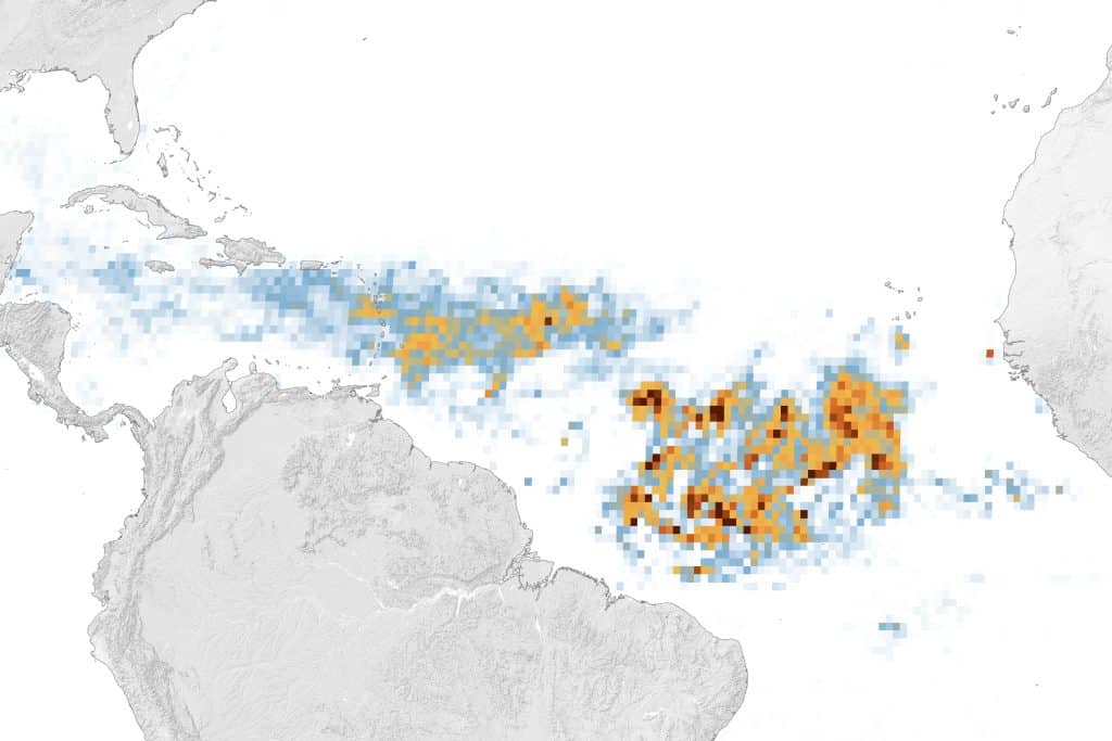 seaweed forecast 2024 map satellite image