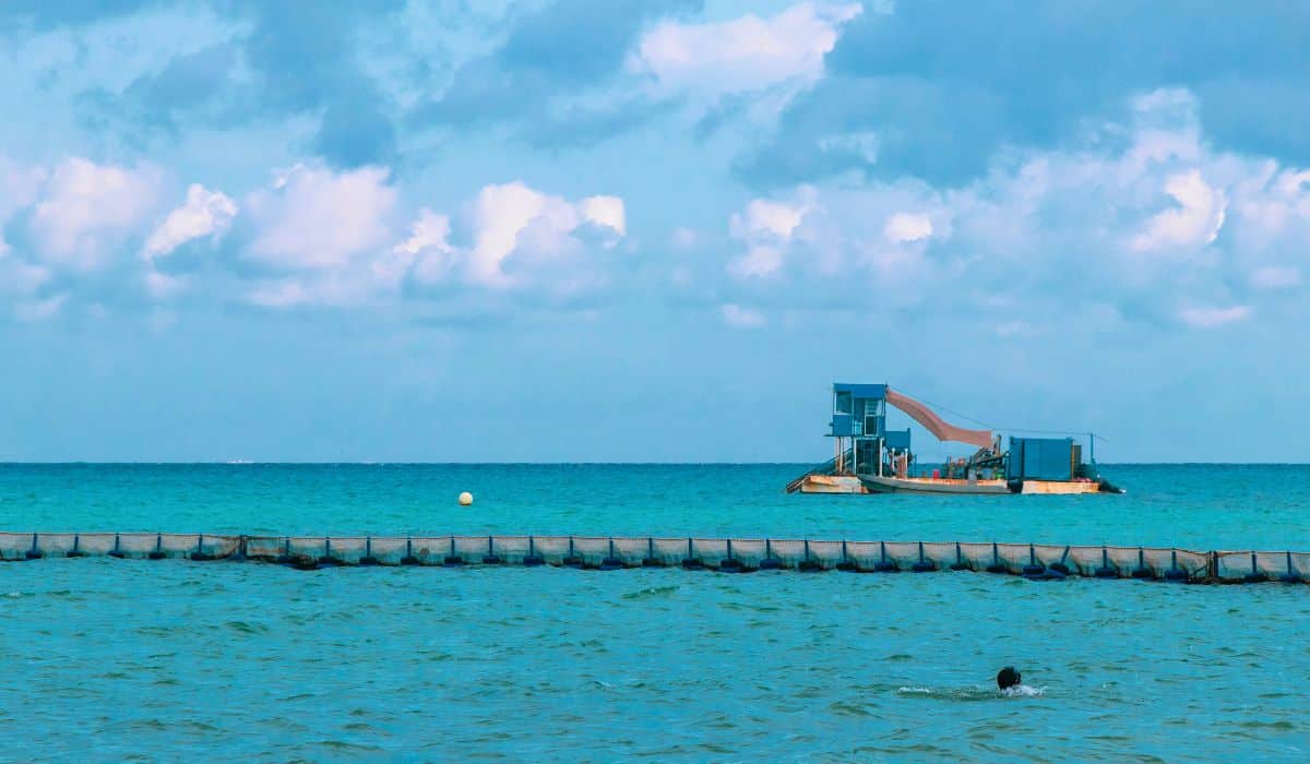 Cancun Acquires New Vessels To Tackle Sargassum Seaweed Arrival