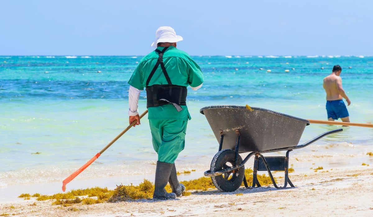 Cancun Ready To Fight Against The Imminent Arrival Of Sargassum