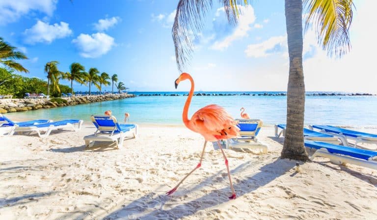 7 Safest Caribbean Islands To Visit in Spring 2024