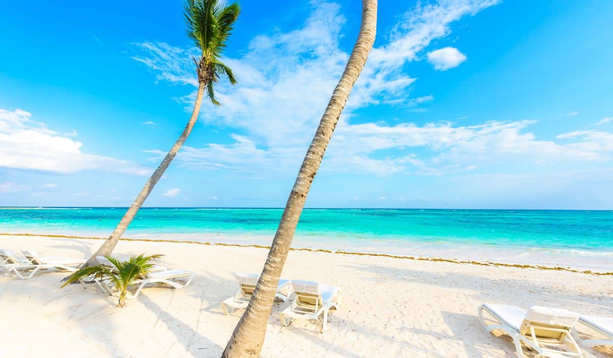 Positive Sargassum Forecast Mexican Caribbean Will Be Algae Free Soon